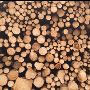 Wood Manufacturing Companies