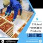 Efficient Perishable Products Logistics 