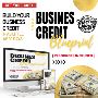 A.D.I Business Credit Blueprint