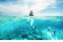 Ocean Reef Diving