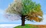 Impact of Seasonal Shifts on Recovery Centers
