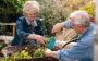  Gardening for Recovery | Benefits for Addicts in Treatment