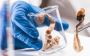 Psilocybin Magic Mushrooms: Essential Facts You Need to Know