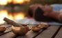 Luxury Holistic Therapy for Mind & Body at Seasons Malibu