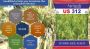 Vegetable Seeds Manufacturers in India Vegetable Seeds Manufacturers in India