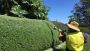 Exceptional Bingara Gorge Landscaping by Semms Property Serv