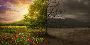 Tree Removal Fallston: Enhance Your Property’s Safety and Ae