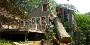 Tree Trim Pikesville: Professional Tree Services You Can Tru