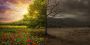 Tree Trim Churchville Churchville Tree Trim Churchville Churchville