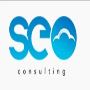 SEO Consulting SEO Consulting