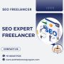 Hire the Best SEO Expert Freelancer for Your Business Growth