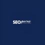SEO Gurus