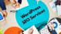 WordPress SEO Services for Strong Online Growth | Seoraft