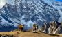 Langtang Valley Trek
