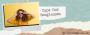Cape Cod Sunglasses – Timeless Style with Superior UV Protec