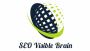 BEST TOP SEO VISIBLE BRAIN COMPANY IN CHANDIGARH MOHALI 