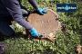Expert Septic Pumping Services in Gotha!