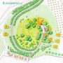 What are the principles of landscape design?