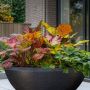 Indoor Flower Pots That Add Character and Calm Indoor Flower Pots That Add Character and Calm