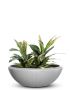 Buy Outdoor Garden Pots in India – Sereno