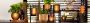 Buy Stylish Table Top Planters by Sereno