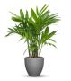 Buy Attractive Balcony Planters – Sereno