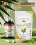 Meet Tulsi🌿, your Ayurvedically for immunity & balance!