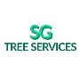 Essential Tree Care & Maintenance For A Healthy Urban 