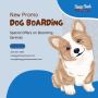 Reliable Dog Boarding in Spanaway - Shaggy Shack Pet Resort