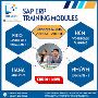 SAP institute in Ameerpet