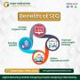 Website Designing Services for Schools and Coaching Centers 