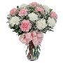 Same Day Flower Delivery Brampton