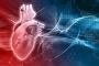 Best Vascular Surgeon in Delhi