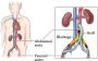Who Are the Top Vascular Surgeons in Delhi?