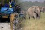 Get the Thrill of Exploring Wildlife in Corbett National Par