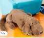 Cuddly Toy Shop: Your Destination for Plush and Soft Toys