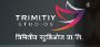 Professional Best logo design agencies pune
