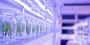 Banana Tissue Culture Solutions for High-Yield Farming