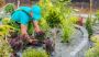 Shepherd Lawn Services | Lawn Care Service in Urbandale IA
