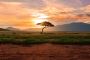 Get up to 50% off on Africa Family Tours packages