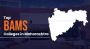 Top BAMS Colleges in Maharashtra 2025 – Fees, Admission, Cou Top BAMS Colleges in Maharashtra 2025 – Fees, Admission, Cou