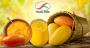 Shimla Hills Offerings Pvt Ltd.