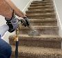 Refresh Your Home with Shire Carpet Clean! Refresh Your Home with Shire Carpet Clean!