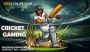 Safe and Secure Matches: How Shiva Online Book Ensures 24/7.
