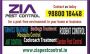 Zia Pest control | Ant and Garden Pest control | Cockroach  