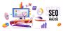 Freelance SEO Expert Strategies for Higher Search Visibility