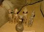 Ancient idols from over 2000 years ago with magical powers