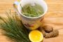 Pine Needle Tea | Tealife