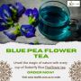 Blue Pea Flower Tea | Tea Life