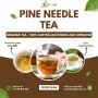 Pine Needle Tea – Nature’s Vitamin Boost in a Cup! ☕